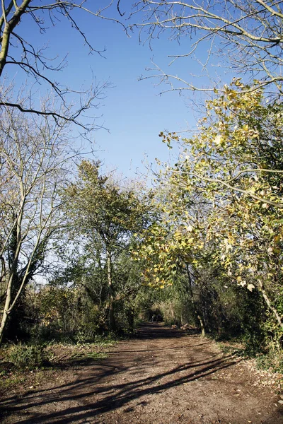 Caminho Público Perto Richmond Longo Rio Tâmisa — Fotografia de Stock