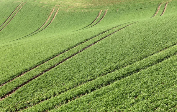 Naturskön Utsikt Över Landsbygden Selektivt Fokus — Stockfoto