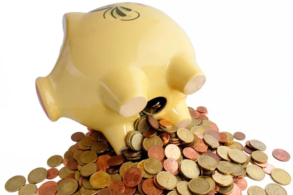 Piggy Bank Different Variations — Stock Photo, Image