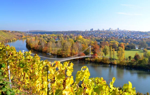 Vignes Sur Col Automnal — Photo