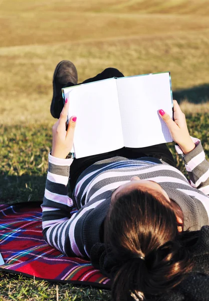 Młoda Nastolatka Kobieta Działa Laptopa Odkryty Natura Niebieski Niebo Trawa — Zdjęcie stockowe