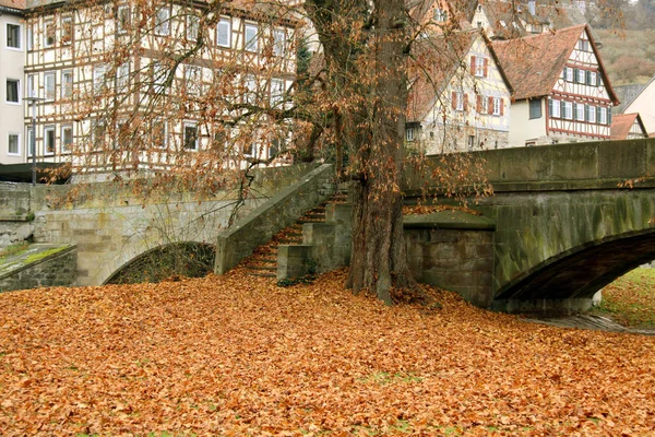 Podzimní Listí Švábské Hale — Stock fotografie