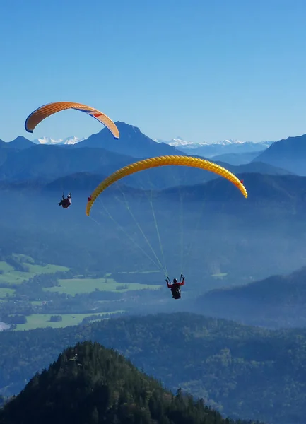 Gleitschirmfliegerduo Żółtymi Parasolami Powietrzu Alp — Zdjęcie stockowe