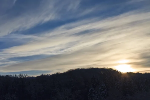Красивый Закат Над Замерзшим Лесом — стоковое фото