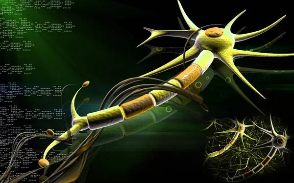 Illustrazione Digitale Del Neurone Sullo Sfondo Colori — Foto Stock