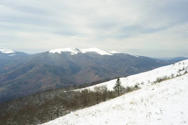 Snötäckta Karpaterna Berget Vintern Ukraina — Stockfoto