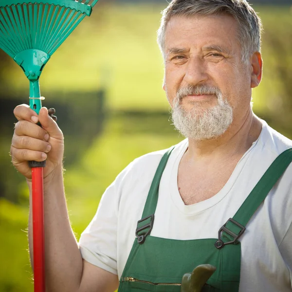 Portrait Senior Man Gardening His Garden Orchard Color Toned Image Stock Image