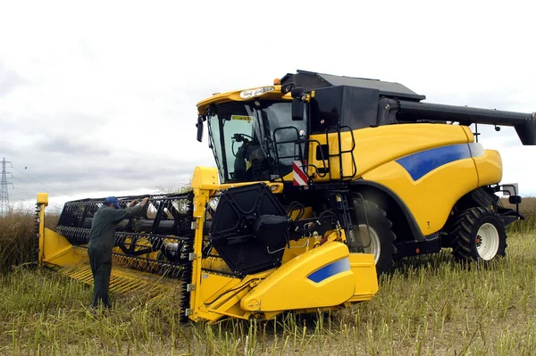 Récolte Colza Avec Des Machines Comme Une Batteuse Moissonneuse Tracteur — Photo