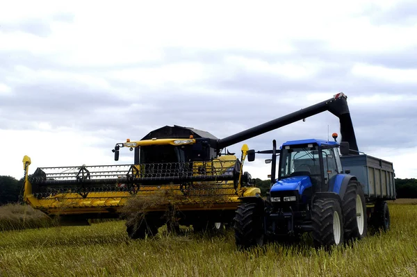 Harvest Colza Machines Reaping Machine Threshing Machine Tractor — Stock Photo, Image