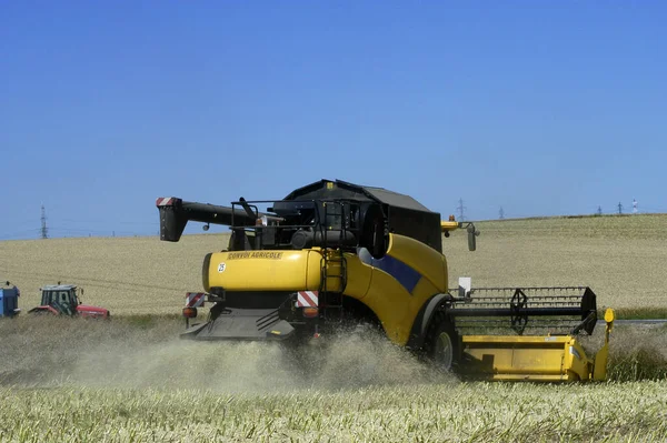 Raccolta Della Colza Con Macchine Come Una Macchina Mietitrice Trebbiatrice — Foto Stock