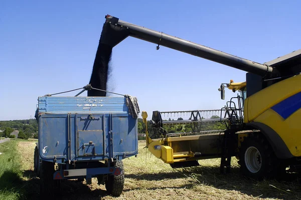 Harvest Colza Machines Reaping Machine Threshing Machine Tractor — Stock Photo, Image