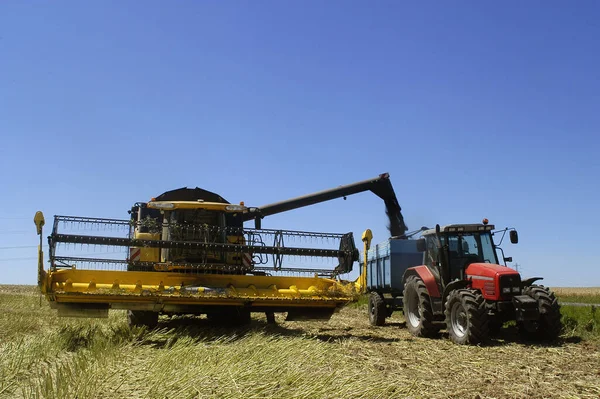 Oogst Van Koolzaad Met Machines Als Een Maaimachine Dorsmachine Trekker — Stockfoto