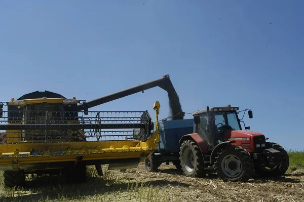 Cosecha Colza Con Máquinas Como Una Máquina Segadora Trilladora Tractor —  Fotos de Stock