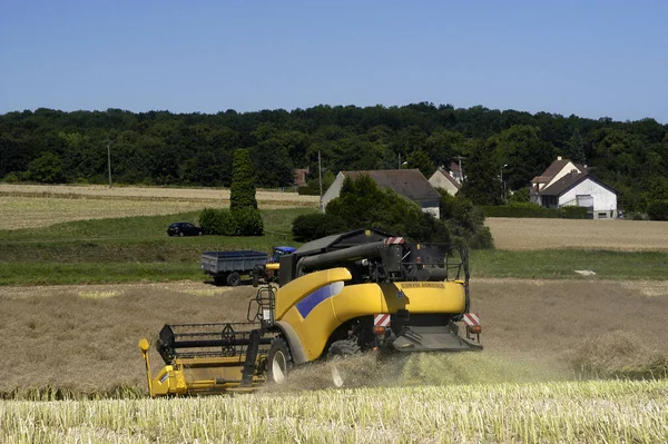 Raccolta Della Colza Con Macchine Come Una Macchina Mietitrice Trebbiatrice — Foto Stock