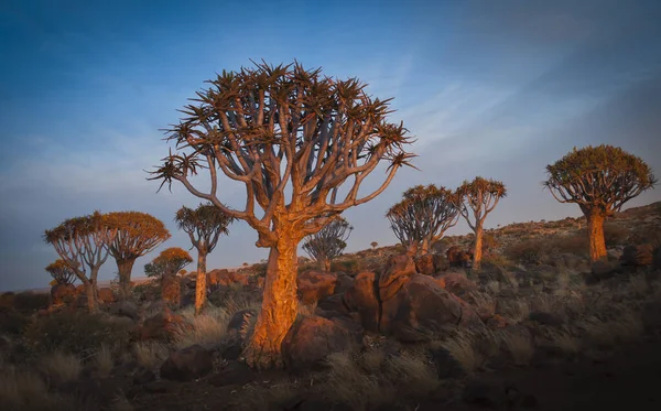 Zicht Woestijnlandschap Namibië — Stockfoto