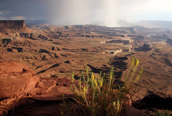 Paysage Nature Canyon Formation Géologique — Photo