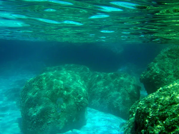 Vista Panorámica Del Mundo Submarino — Foto de Stock