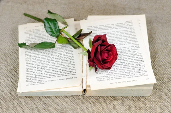 Libro Cubierto Con Una Rosa Roja — Foto de Stock
