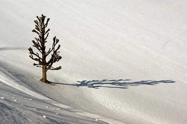 Bunter Hintergrund Für Weihnachten Oder Neujahr Urlaubskarte — Stockfoto