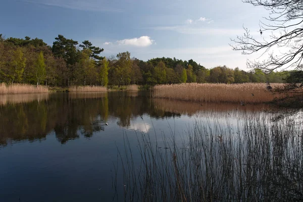 Prerowstrom Prerow Darss Parque Nacional Ocidental Área Lagoa Pomerania — Fotografia de Stock