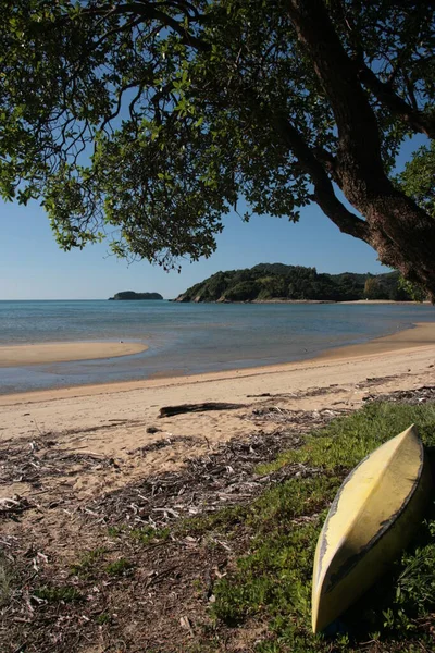 Kayak Located Beach Tree — Stock Photo, Image