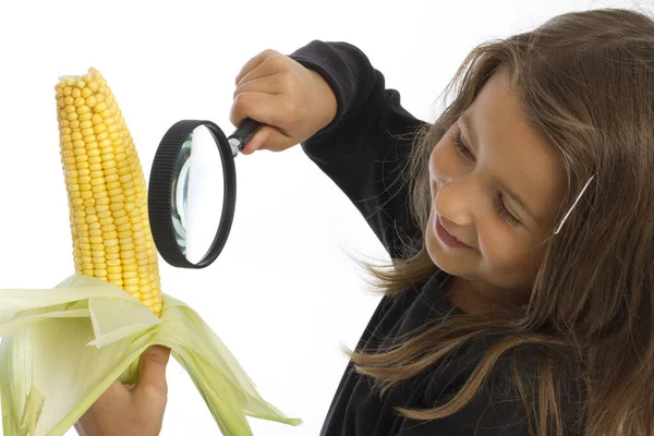 Six Year Old Considered Corn Cobs — Stock Photo, Image