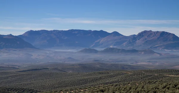 Panorama Sierra Cazorla Con Olivos Andalucía España — Foto de Stock
