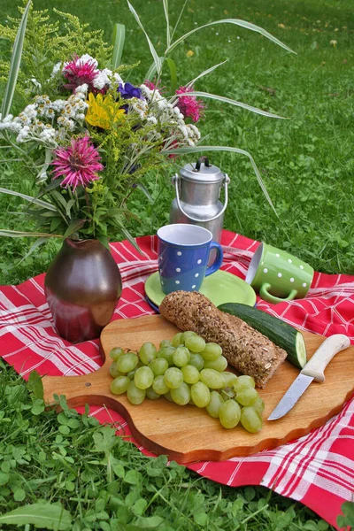 Picknickconcept Eten Vakantie — Stockfoto