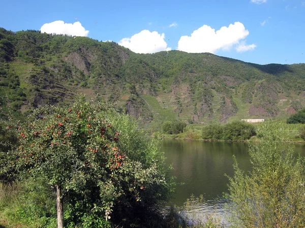 Uitzicht Bergen Rivier — Stockfoto