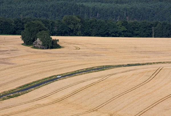 田舎の農業小麦畑 — ストック写真