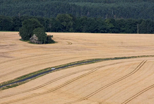 Agricultura Rural Campo Trigo — Foto de Stock