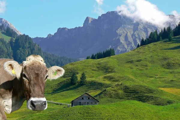 Malebný Pohled Krásnou Krajinu Alpách — Stock fotografie