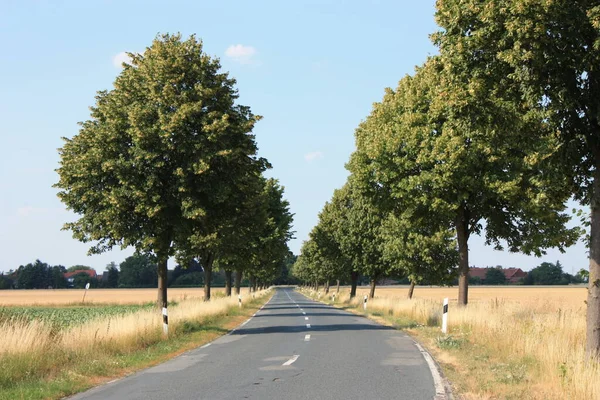 Naturskön Utsikt Över Landsbygden Selektivt Fokus — Stockfoto