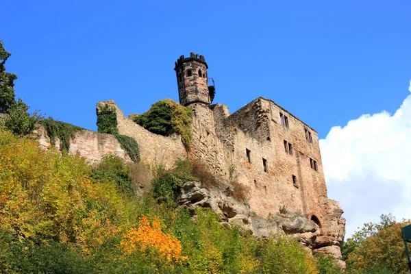 Vista Panoramica Dei Dettagli Architettonici Medievali — Foto Stock