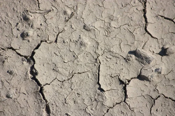 Трещина Текстуре Почвы — стоковое фото