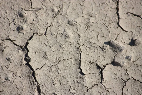 Textura Del Suelo Agrietado Fondo —  Fotos de Stock