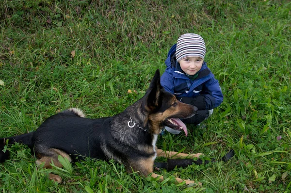 Fiatal Fiú Egy Kutyával Parkban — Stock Fotó