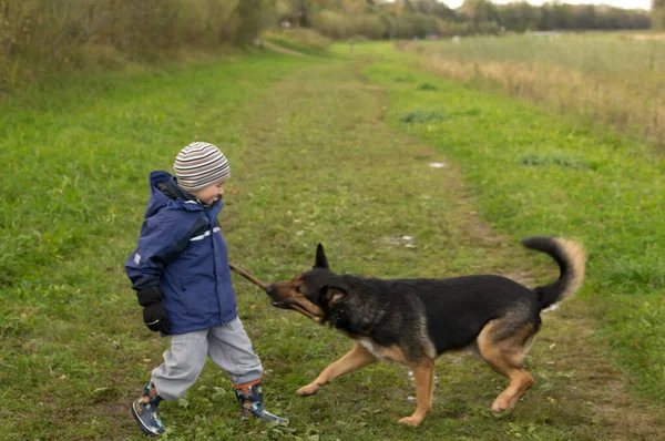 Portret Van Een Schattig Kind Happy Childhood Concept — Stockfoto