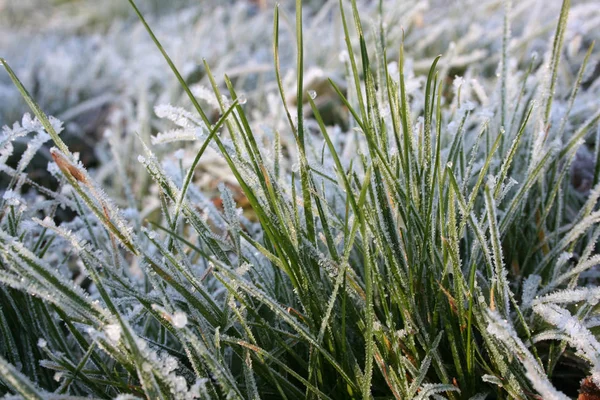 Utsikt Över Vinterscen — Stockfoto