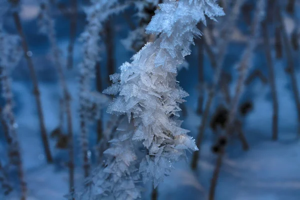 Belle Vue Sur Paysage Hivernal — Photo