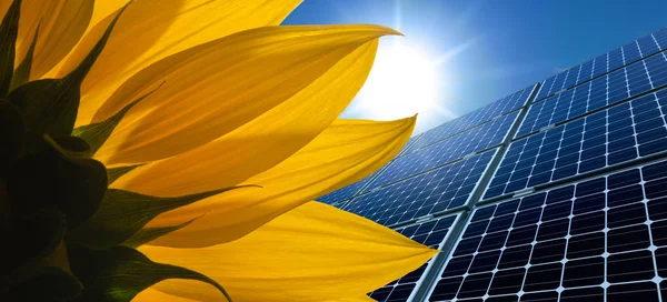Sonnenkollektoren Und Sonnenblumen Vor Sonnigem Himmel — Stockfoto