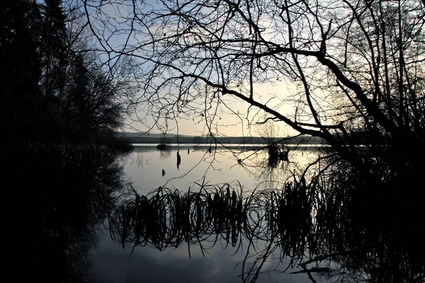 Schilderachtig Uitzicht Natuur — Stockfoto