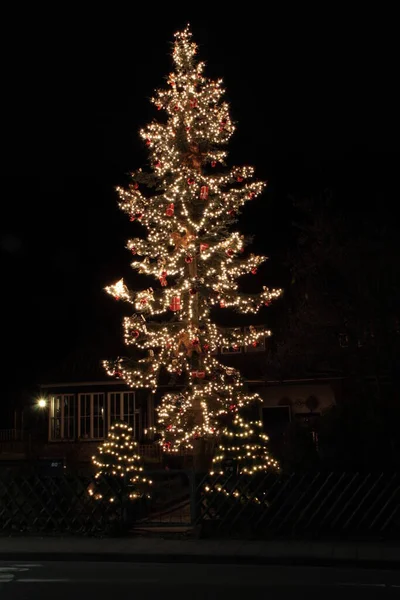 Ein Großer Weihnachtsbaum — Stockfoto