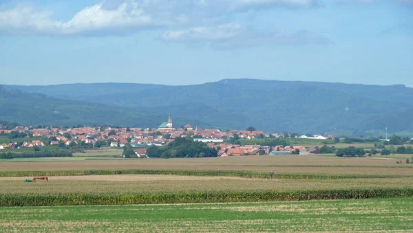 Vista Panoramica Dell Agricoltura Campagna — Foto Stock