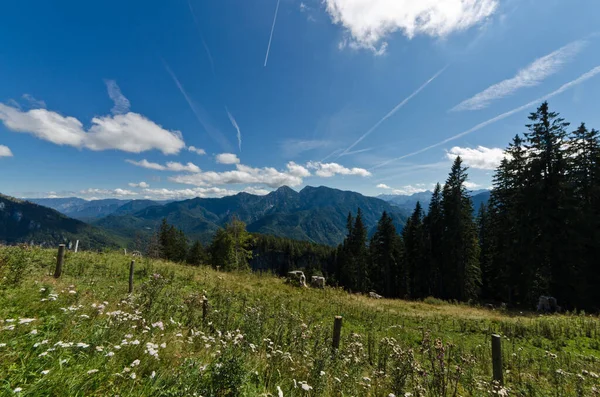 Bayern Ist Das Größte Deutsche Flächenland Das Rund Ein Fünftel — Stockfoto