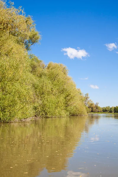 Gyönyörű Tájat Duna Delta Bioszféra Rezervátum Romániában — Stock Fotó