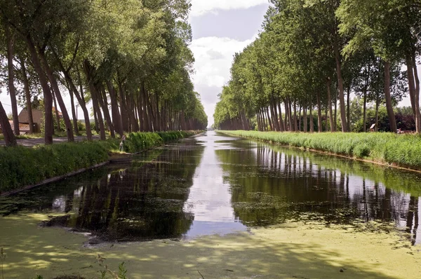 Trees Canal Bruges Belgium — ストック写真