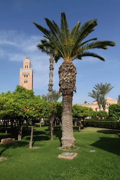 Мечеть Кутубия Марракеш Марокко Африка — стоковое фото