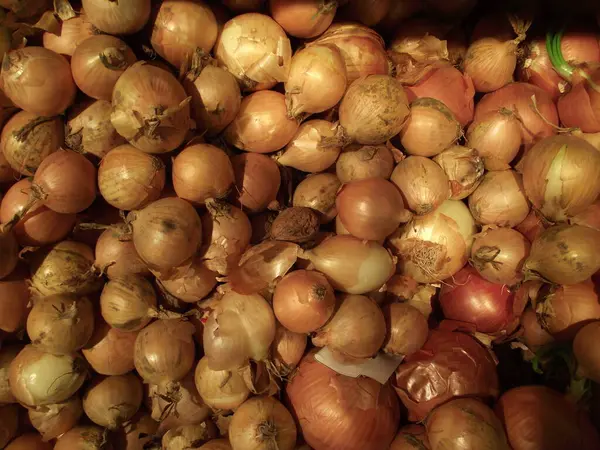 Vegetarisk Mat Selektivt Fokus — Stockfoto