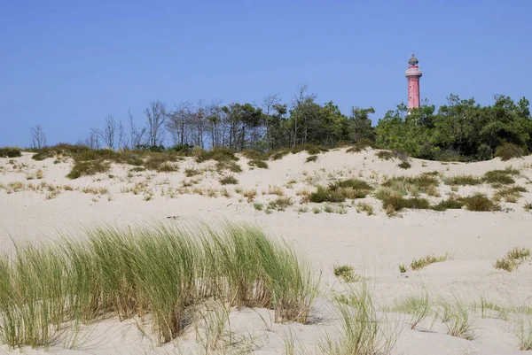 Lighthouse Coast Coubre France Dunes Region Charentes Poitou — Stockfoto